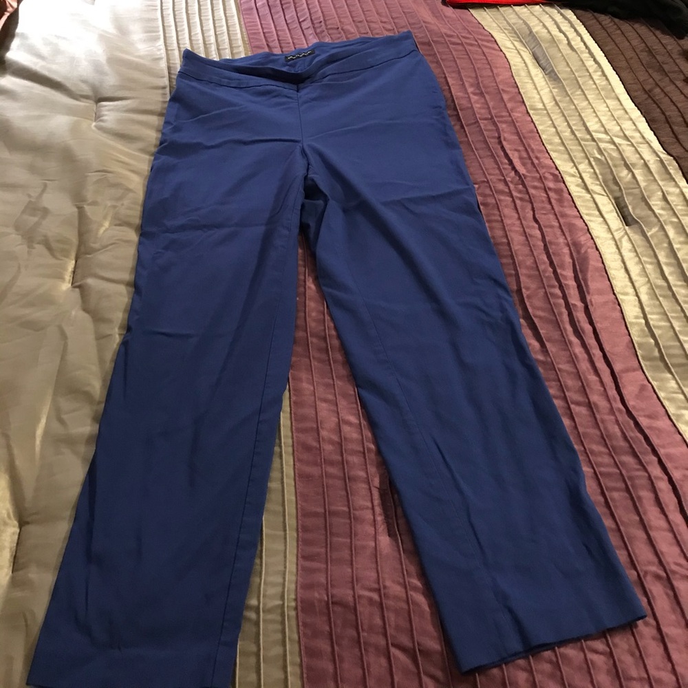 Stretchy,Average Length Pant By Counterparts - 16W